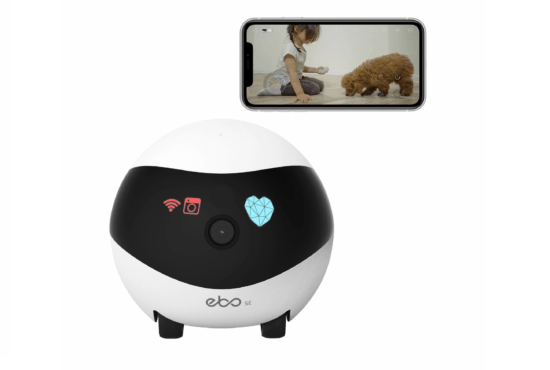 The best Ebo Camera Robot shows a baby playing with a puppy.