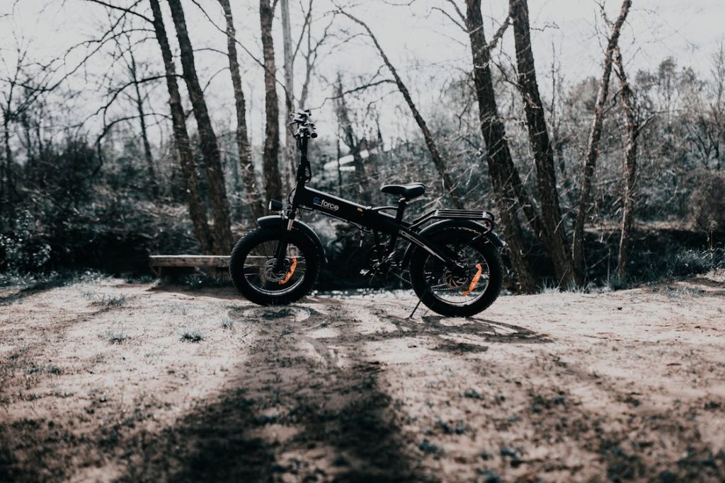 Hunting Bike in A Forest