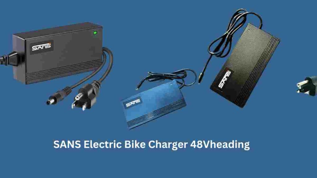 SANS Electric Bike Charger 48V